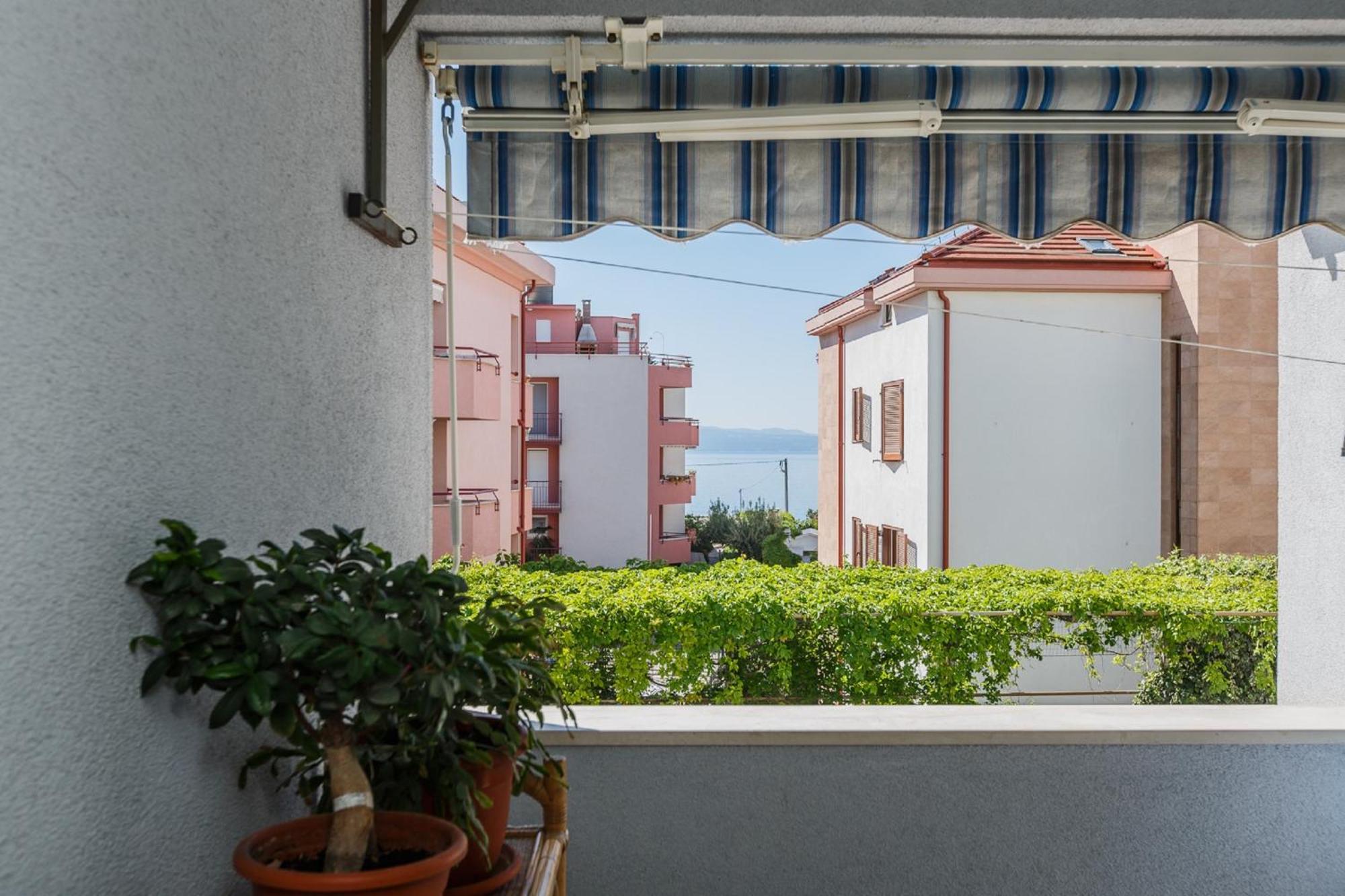 Apartmán Zenta